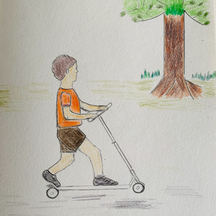 Boy Scooting Illustrative Drawing