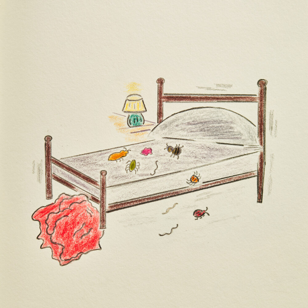 Bugs on the Bed Illustrative Drawing