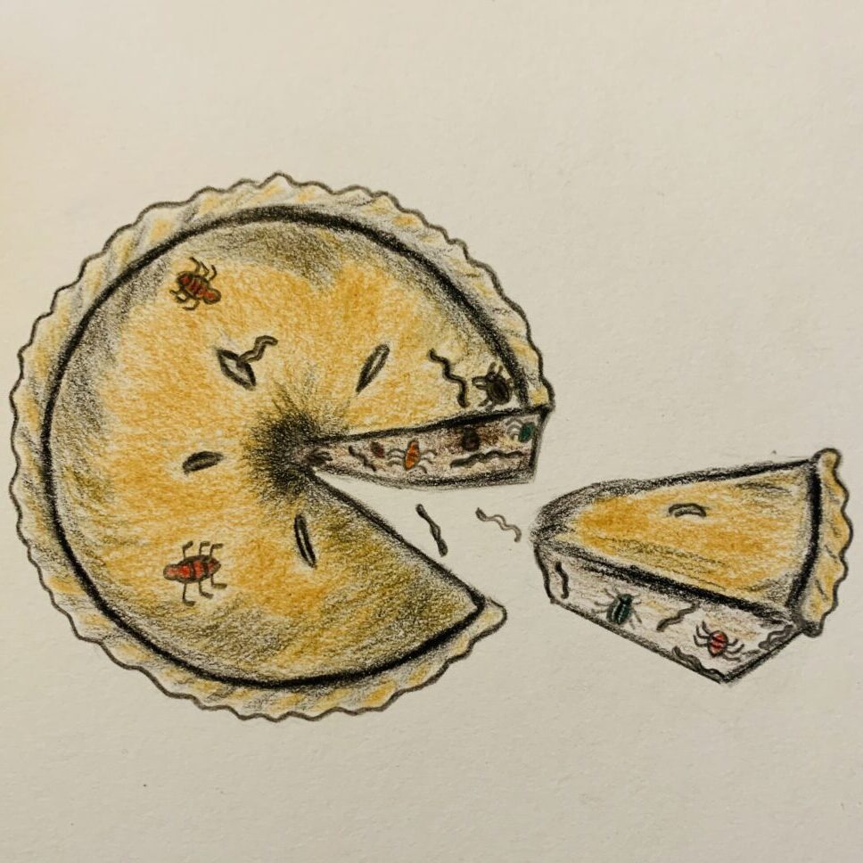 Childlike illustrative drawing of bugs in a pie. If you can dish it, you can take it.